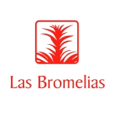 las_bromelias